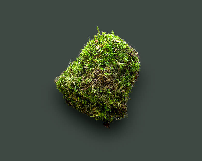 home_biolab_content_slider2